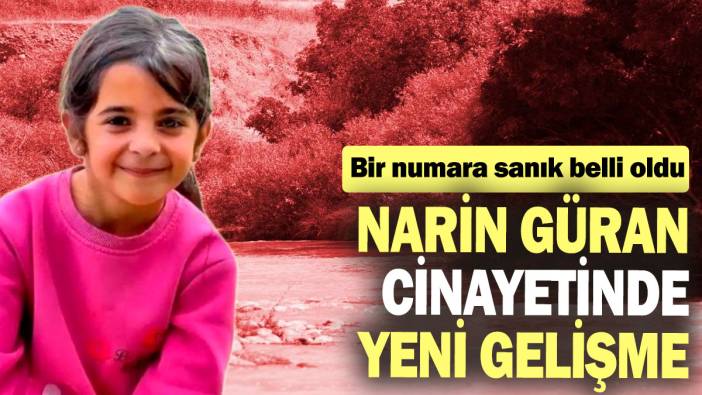 Narin Güran cinayetinde yeni gelişme: Bir numara sanık belli oldu