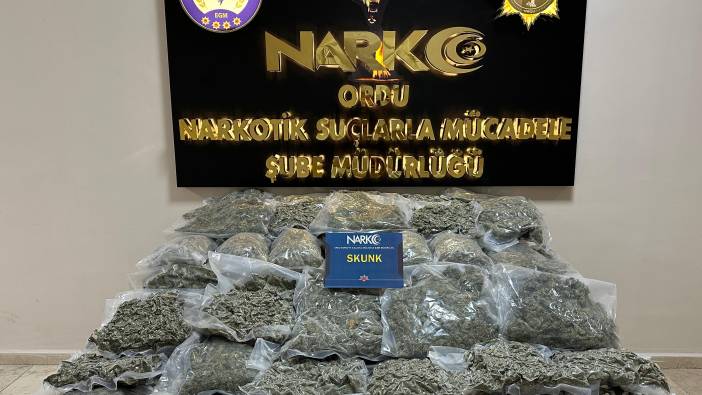 Ordu'da onlarca kilo skunk ele geçirildi