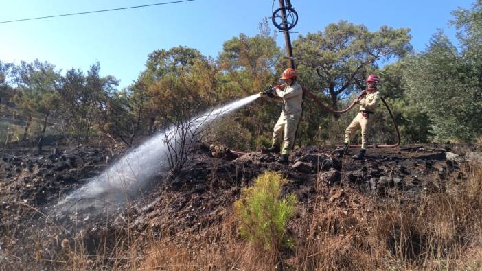 Mersin'in Anamur ilçesinde çıkan yangın kontrol altına alındı