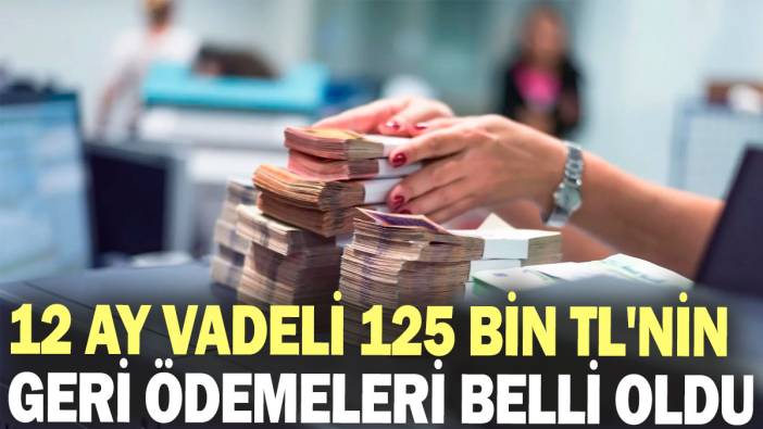 12 ay vadeli 125 bin TL'nin geri ödemeleri belli oldu