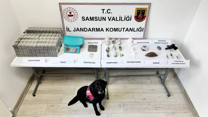 Narkotik dedektör köpeği uyuşturucuyu yakaladı