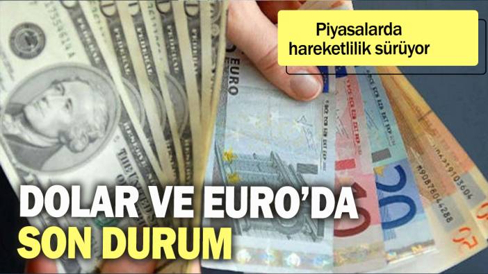 Dolar ve Euro'da son durum: Piyasalarda hareketlilik sürüyor