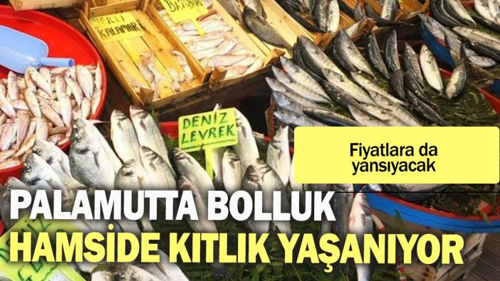 Palamutta bolluk hamside kıtlık yaşanıyor: Fiyatlara da yansıyacak