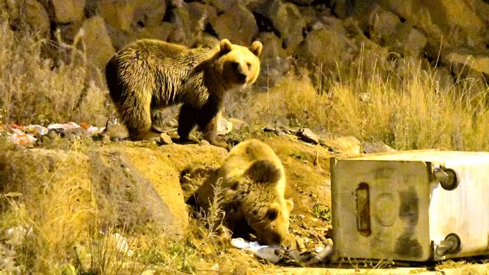 Bozayılar Sarıkamış ilçe merkezine indi