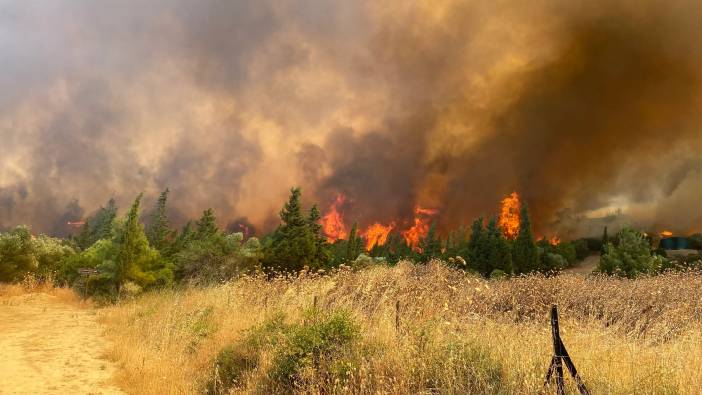 Çanakkale'de 2 yılda 277 orman yangını