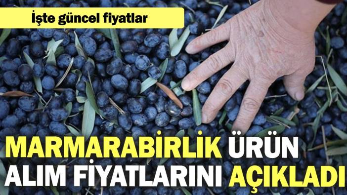 Marmarabirlik ürün alım fiyatlarını açıkladı: İşte güncel fiyatlar