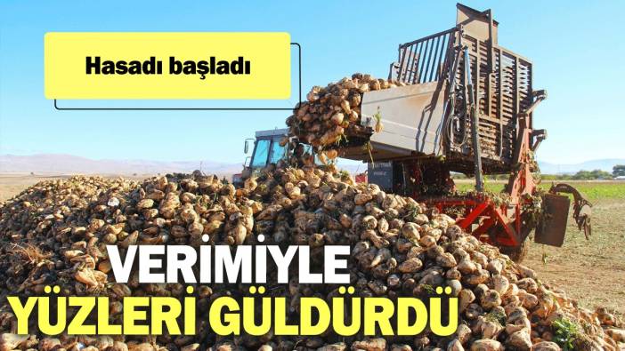 Hasadı başladı: Verimiyle yüzleri güldürdü