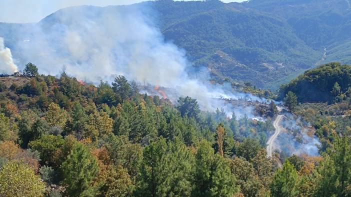 Alanya'da zirai alanda yangın