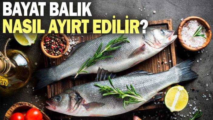 Bayat balık nasıl ayırt edilir?: Taze balık nasıl anlaşılır?