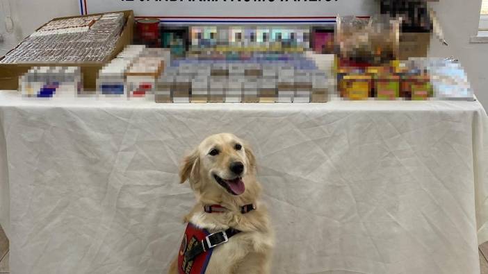 Konya'da kaçakçı operasyonu