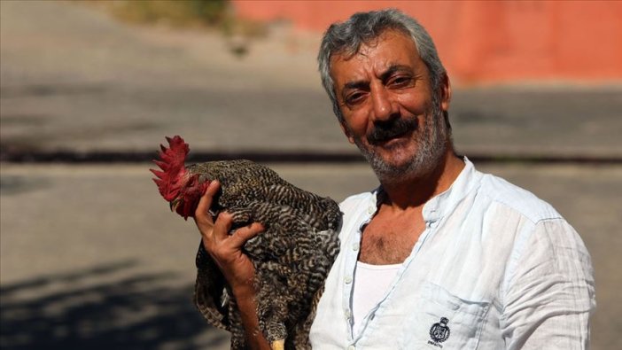 Kesilmekten kurtardığı horozla 'dost' oldu