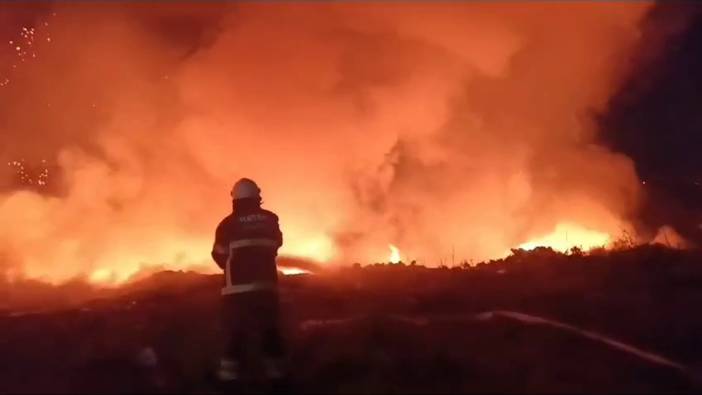 Hatay'da tarım arazisi yangını korkuttu