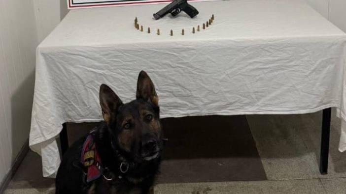 Bingöl’de aranması olan 3 şüpheli yakalandı