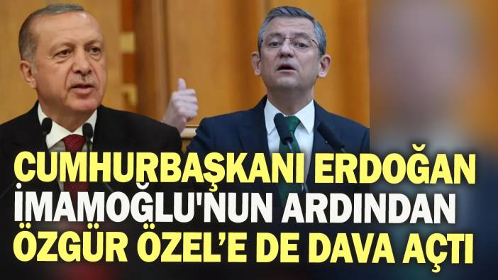 Cumhurbaşkanı Erdoğan İmamoğlu'nun ardından  Özgür Özel'e de dava açtı