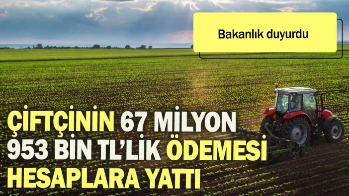 Bakanlık duyurdu: Çiftçinin  67 Milyon 953 Bin TL'lik ödemesi hesaplara yattı