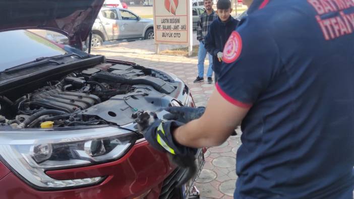 Batman’da araç motoruna giren kedi kurtarıldı