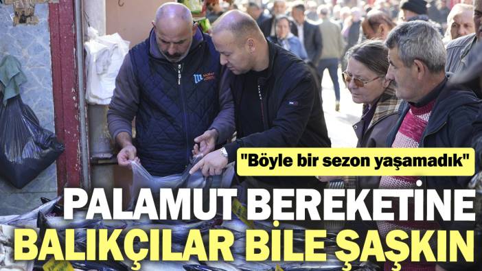 Palamut bereketine balıkçılar bile şaşkın: Böyle bir sezon yaşamadık