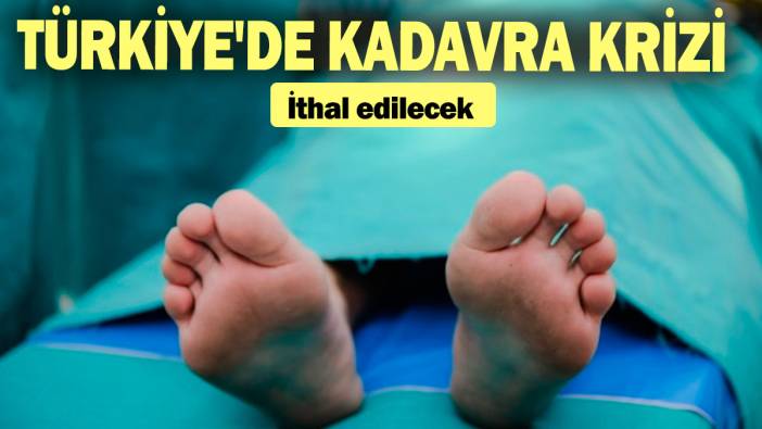 Türkiye'de kadavra krizi: İthal edilecek