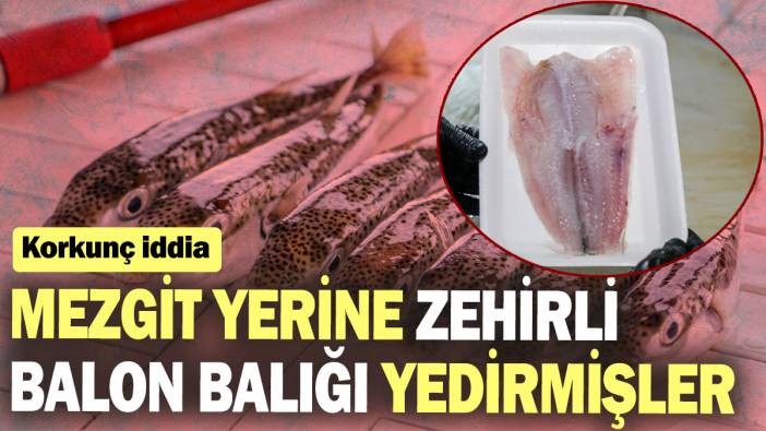 Korkunç iddia: Mezgit yerine zehirli balon balığı yedirmişler