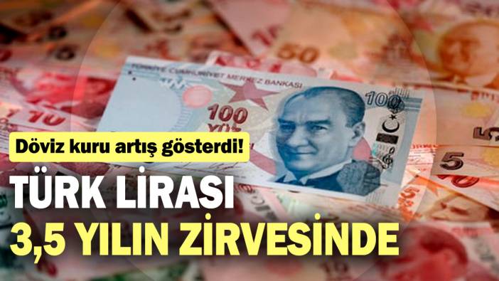 Döviz kuru artış gösterdi! Türk Lirası 3,5 yılın zirvesinde