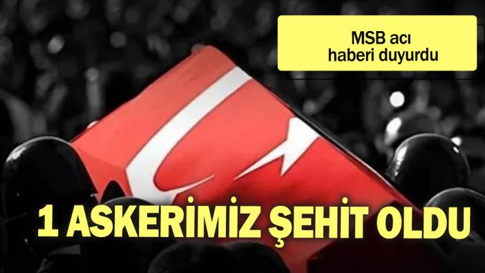 MSB acı haberi duyurdu: 1 askerimiz şehit oldu