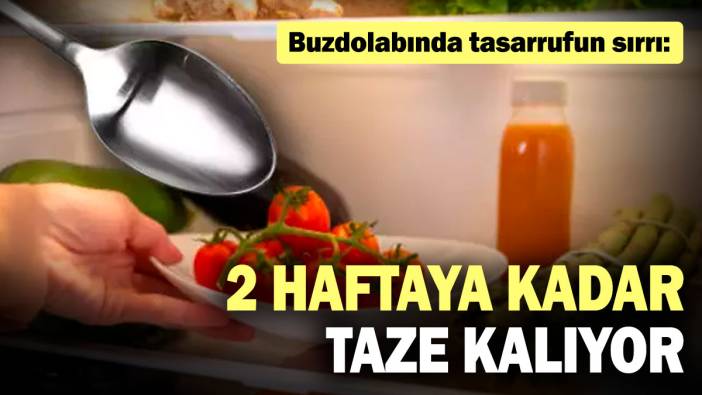 Buzdolabında tasarrufun sırrı: 2 haftaya kadar taze kalıyor
