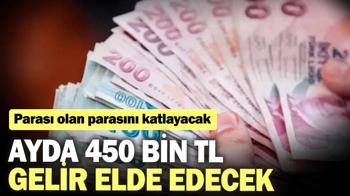 Parası olan parasını katlayacak! Ayda 450 bin TL gelir elde edecek