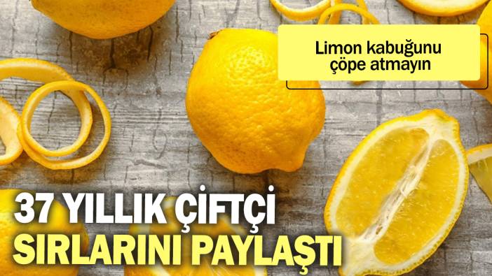 37 yıllık çiftçi sırlarını paylaştı: Limon kabuklarını çöpe atmayın