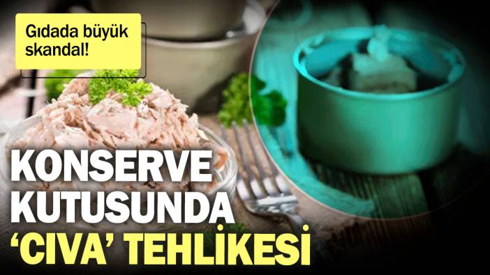 Gıdada büyük skandal! Konserve kutusunda cıva tehlikesi