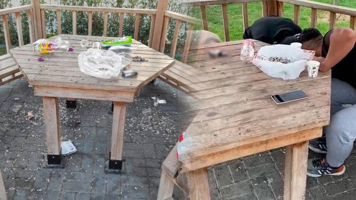 Çekirdek kabuklarını yere attılar, ceza yememek için tek tek topladılar!