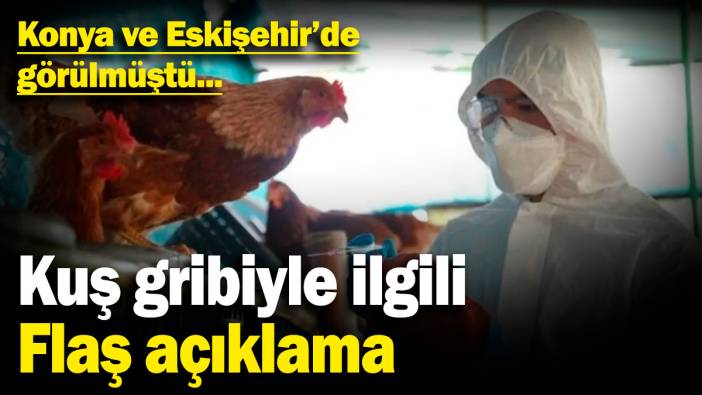 Konya ve Eskişehir'de görülmüştü... Kuş gribiyle ilgili flaş açıklama