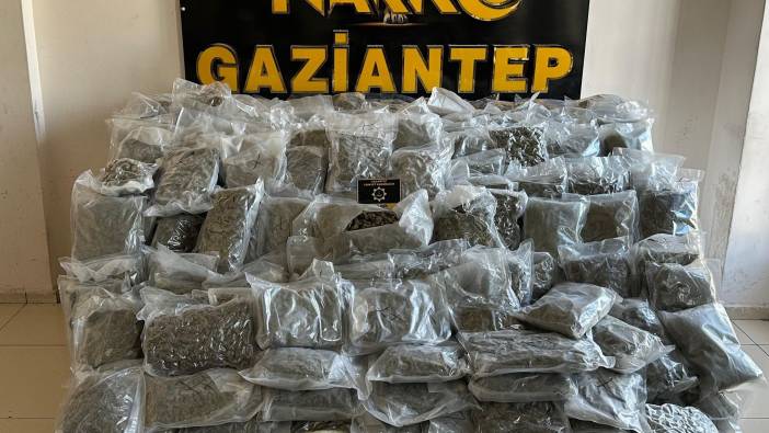 Gaziantep’te 104 kilo skunk ele geçirildi (12 Kasım 2024)