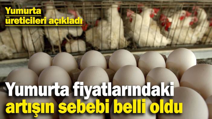 Yumurta fiyatlarındaki artışın sebebi belli oldu: Yumurta üreticileri açıkladı