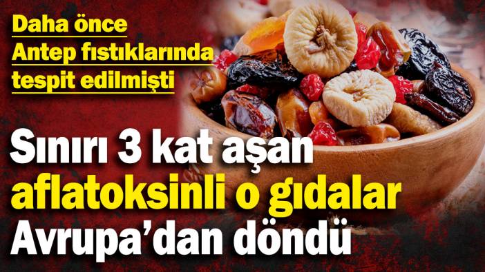 Sınırı 3 kat aşan aflatoksinli o gıdalar Avrupa’dan döndü! Daha önce de Antep fıstıklarında tespit edilmişti