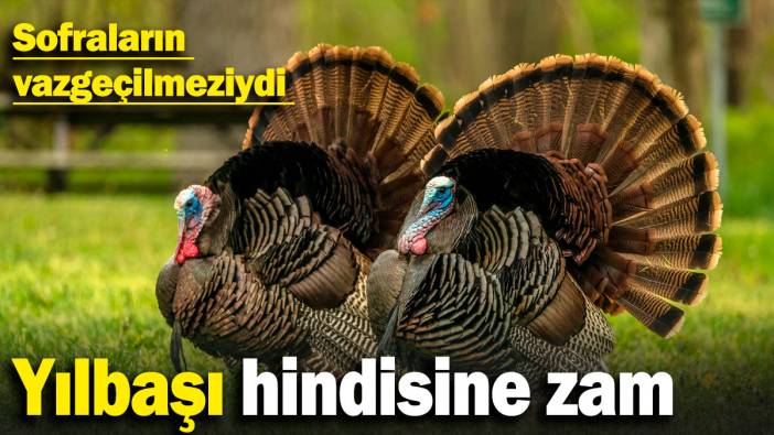 Yılbaşı hindisine zam: Sofraların vazgeçilmeziydi