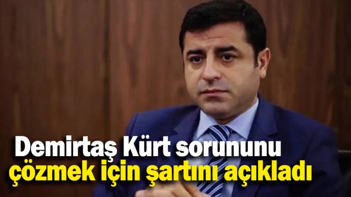 Demirtaş Kürt sorununu  çözmek için şartını açıkladı