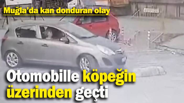 Otomobille köpeğin  üzerinden geçti: Muğla’da kan donduran olay