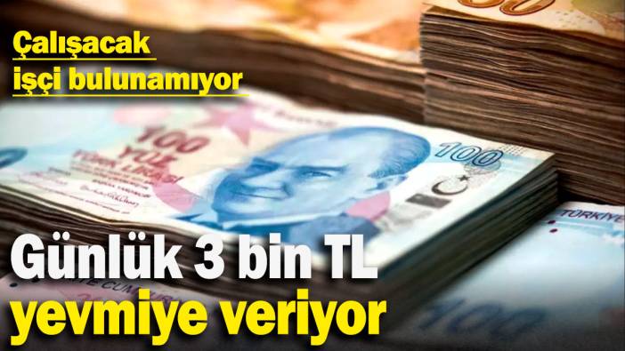 Günlük 3 bin TL yevmiye veriyor: Çalışacak işçi bulunamıyor