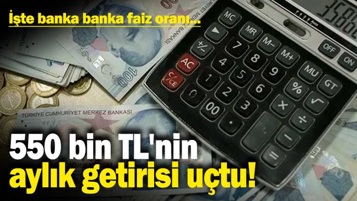 550 bin TL'nin aylık getirisi uçtu! İşte banka banka faiz oranı...