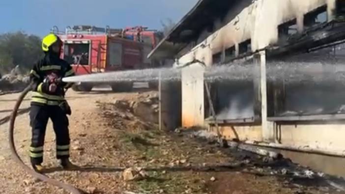 Mersin'de tavuk çiftliğinde yangın: 33 bin civciv telef oldu