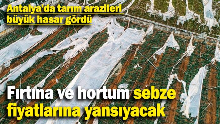 Antalya'da tarım arazileri  büyük hasar gördü: Fırtına ve hortum sebze  fiyatlarına yansıyacak