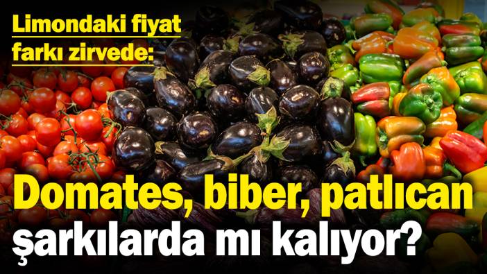 Domates, biber, patlıcan şarkılarda mı kalıyor? Limondaki fiyat farkı zirvede