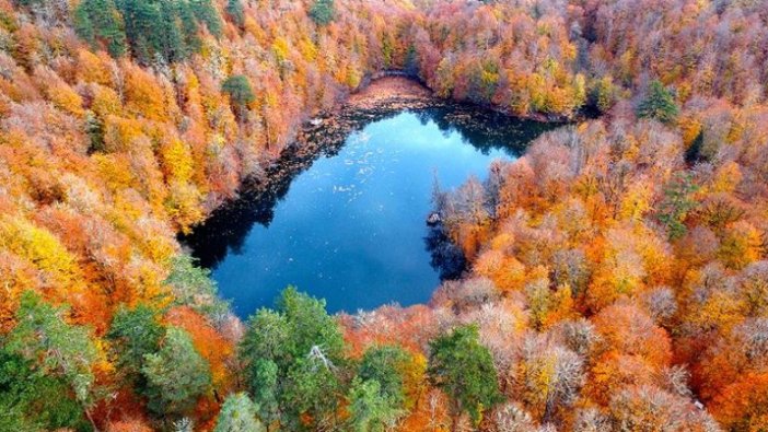 Türkiye'de 3,2 milyon hektar alana 'özel statülü' koruma