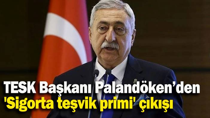 TESK Başkanı Palandöken’den 'Sigorta teşvik primi' çıkışı