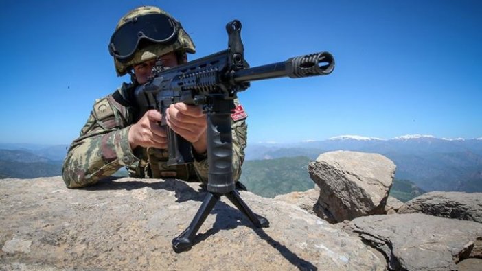 Turuncu ve gri kategoride aranan iki terörist etkisiz hale getirildi