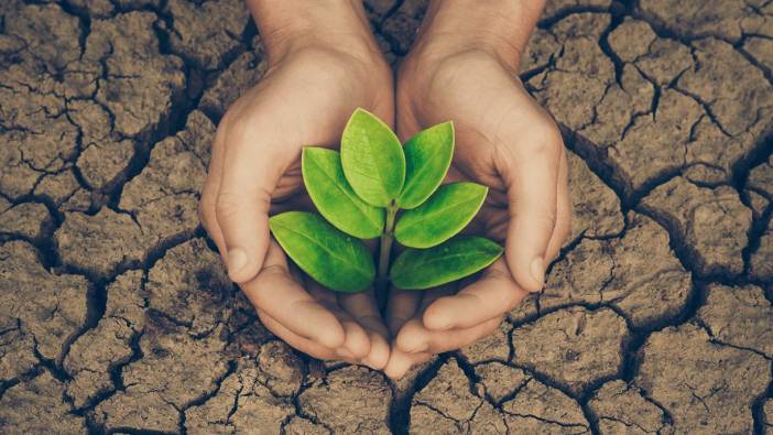 TÜİK açıkladı: Çevre koruma harcamaları attı