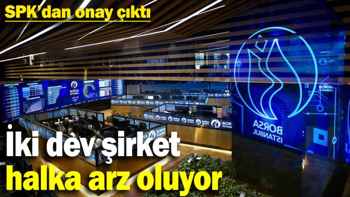 İki dev şirket halka arz oluyor: SPK'dan onay çıktı