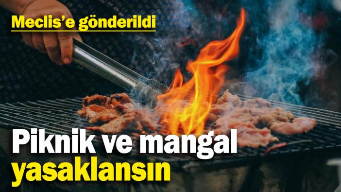 TBMM'ye başvuru: Piknik ve mangal 5 yıl yasaklansın