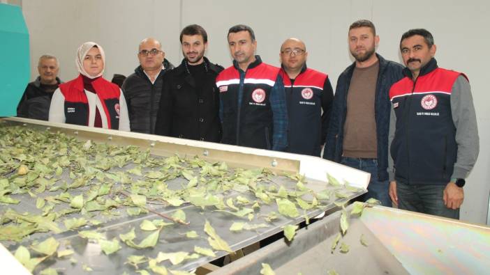 Devletten aldığı hibe işletme kapasitesini 3 katına çıkardı