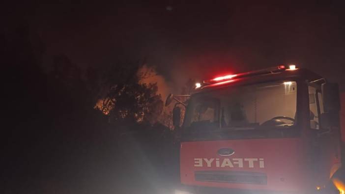 Hatay Dörtyol’da yangın